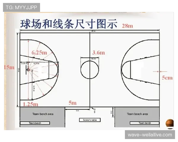 篮球14秒重置规则详解及场上具体触发场景